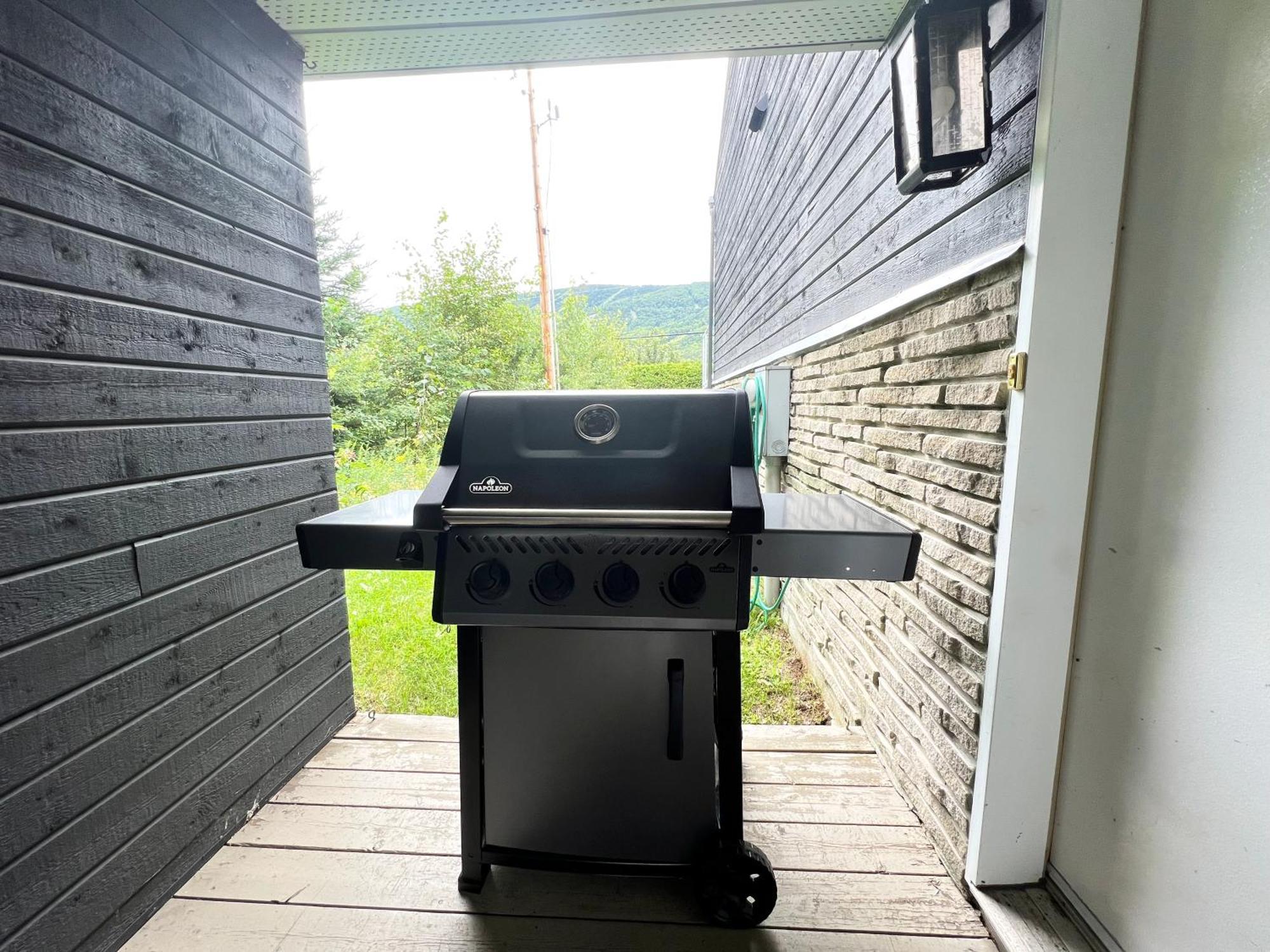 Chalets Montmorency Mont-Sainte-Anne Saint-Ferreol-les-Neiges Exterior foto