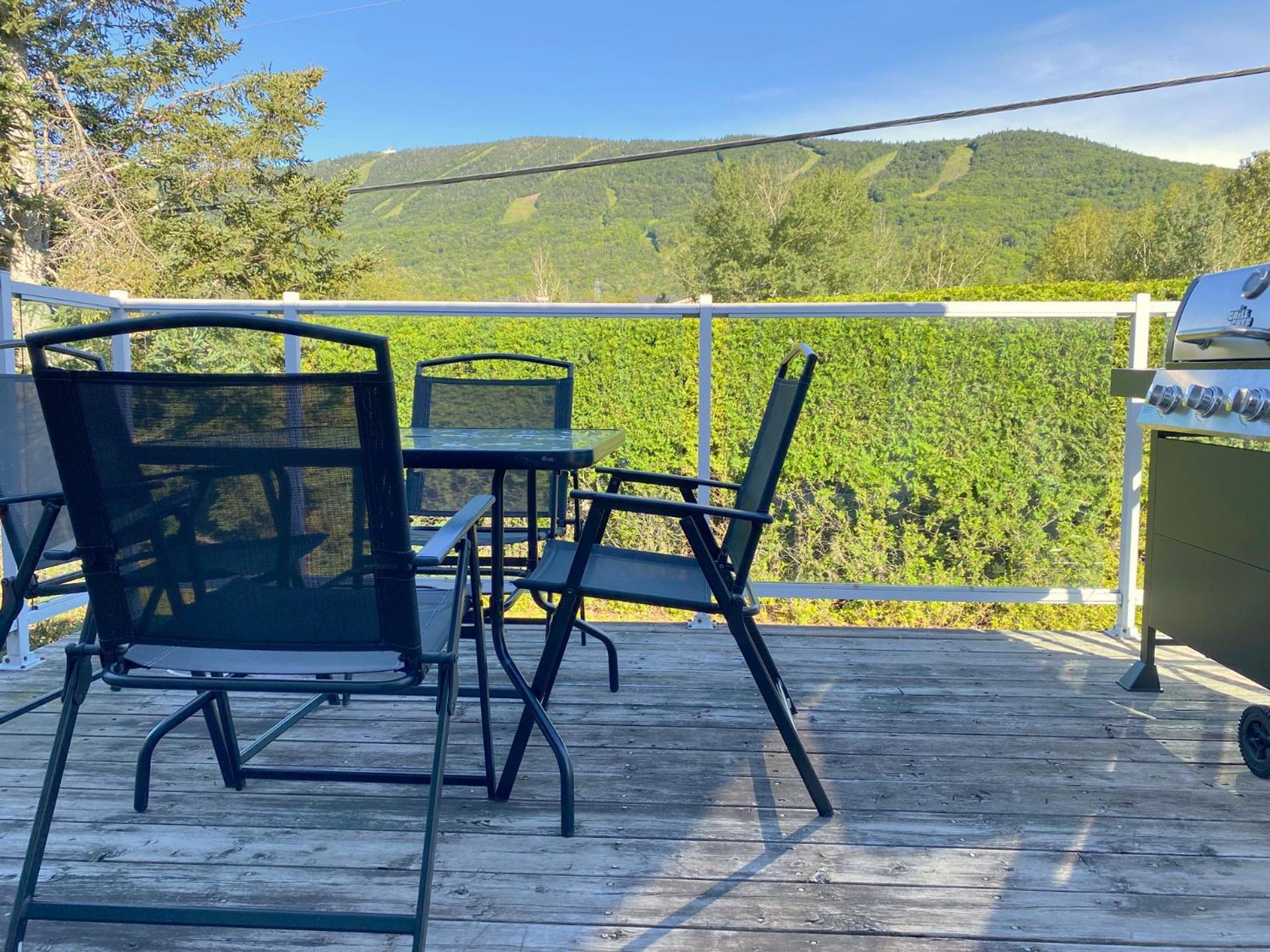 Chalets Montmorency Mont-Sainte-Anne Saint-Ferreol-les-Neiges Exterior foto